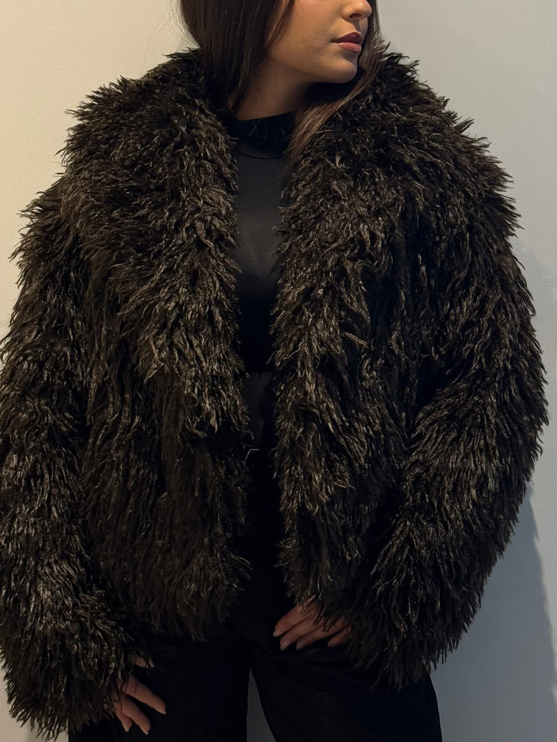 Mongolia short brown